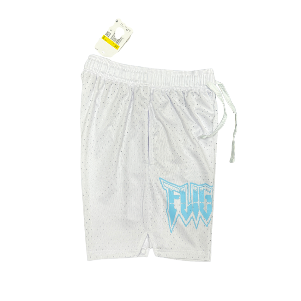 Jordan White and Light Blue Shorts