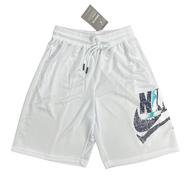 Nike Air Jordan White Gray Blue Shorts