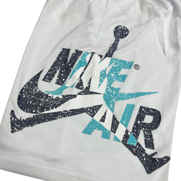 Nike Air Jordan White Gray Blue Shorts