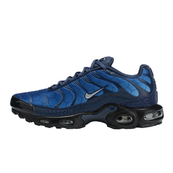 Zapatillas casuales Nike Air Max Plus TN Blue Hex