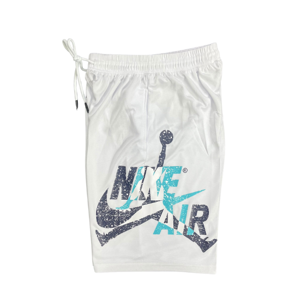 Nike Air Jordan White Gray Blue Shorts 