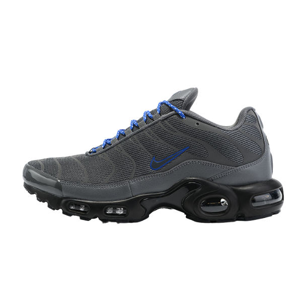 Zapatillas Nike Air Max Plus TN grises reflectantes