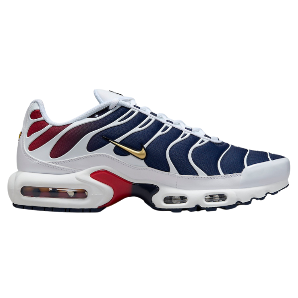Nike Air Max Plus TN PSG Casual Shoes