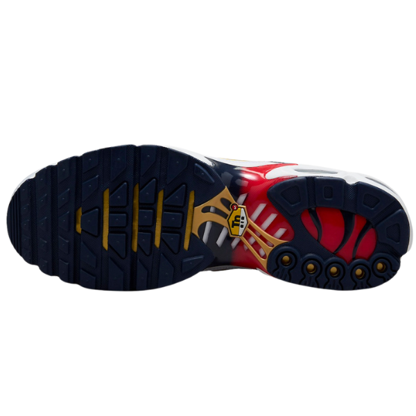 Nike Air Max Plus TN PSG Casual Shoes