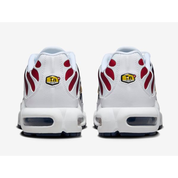 Nike Air Max Plus TN PSG Casual Shoes