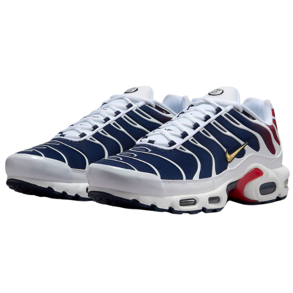 Nike Air Max Plus TN PSG Casual Shoes
