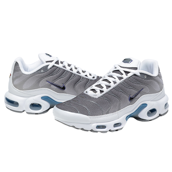Zapatillas casuales Nike Air Max Plus TN en gris vela